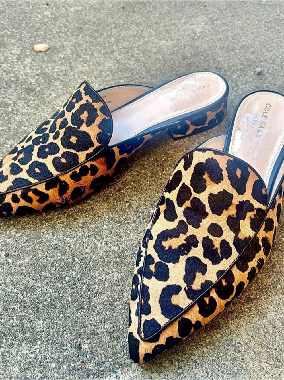 Cole Haan Piper Leopard Print Calf Hair Mules